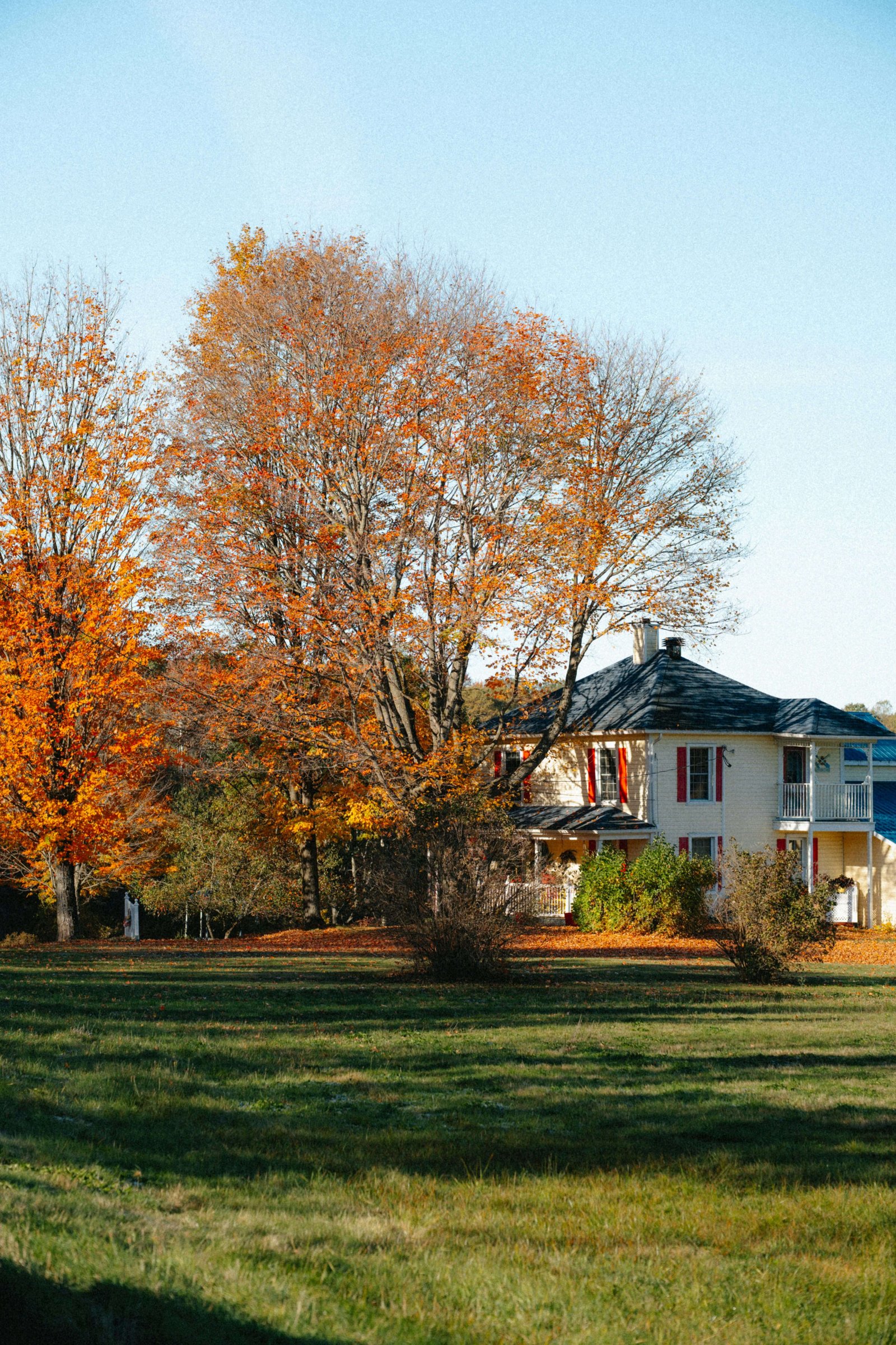 Beautiful backyard garden